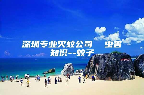 深圳專業滅蚊公司  蟲害知識--蚊子