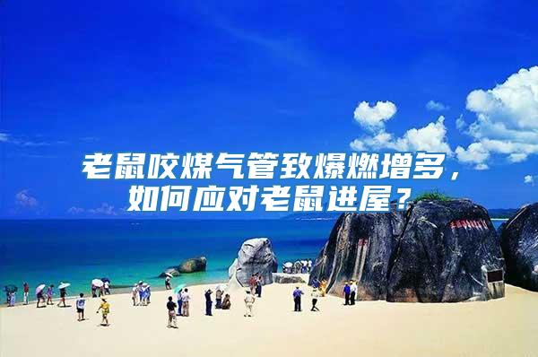 老鼠咬煤氣管致爆燃增多，如何應對老鼠進屋？
