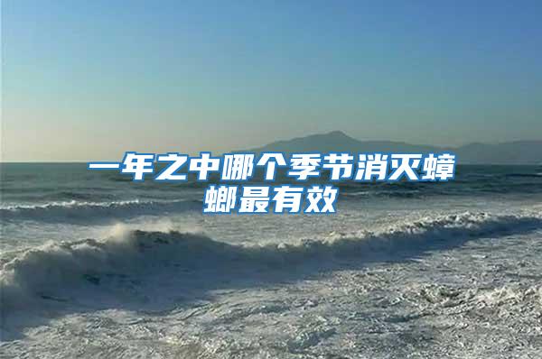 一年之中哪個(gè)季節(jié)消滅蟑螂最有效