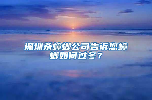 深圳殺蟑螂公司告訴您蟑螂如何過(guò)冬？