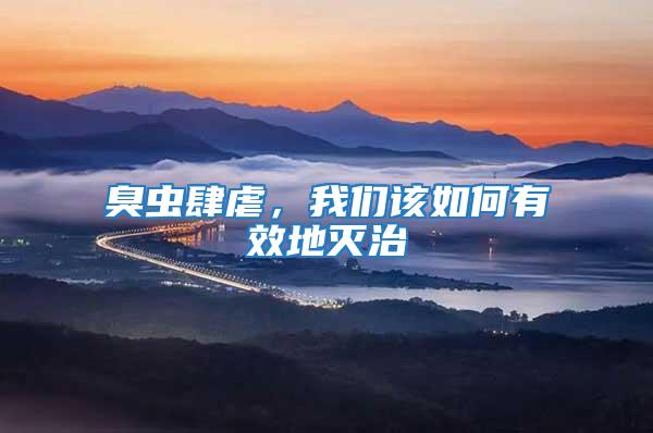 臭蟲肆虐，我們該如何有效地滅治
