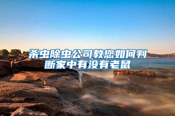 殺蟲(chóng)除蟲(chóng)公司教您如何判斷家中有沒(méi)有老鼠