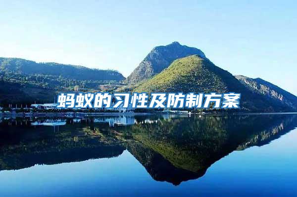 螞蟻的習(xí)性及防制方案