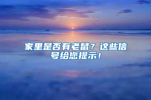 家里是否有老鼠？這些信號給您提示！