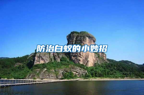 防治白蟻的小妙招