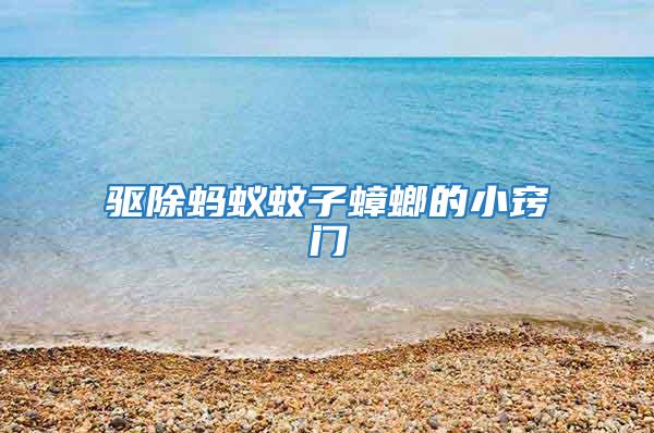 驅除螞蟻蚊子蟑螂的小竅門
