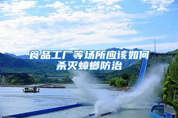 食品工廠等場所應該如何殺滅蟑螂防治
