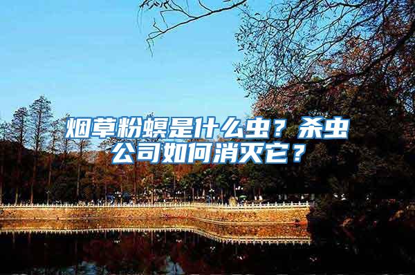 煙草粉螟是什么蟲？殺蟲公司如何消滅它？