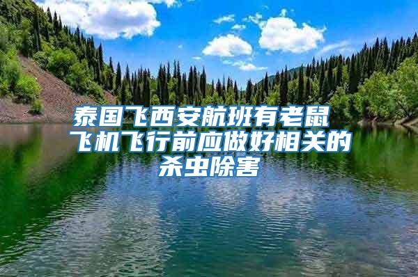 泰國飛西安航班有老鼠 飛機(jī)飛行前應(yīng)做好相關(guān)的殺蟲除害