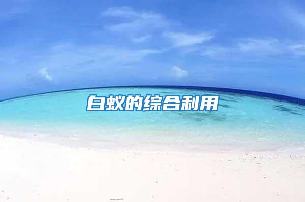 白蟻的綜合利用
