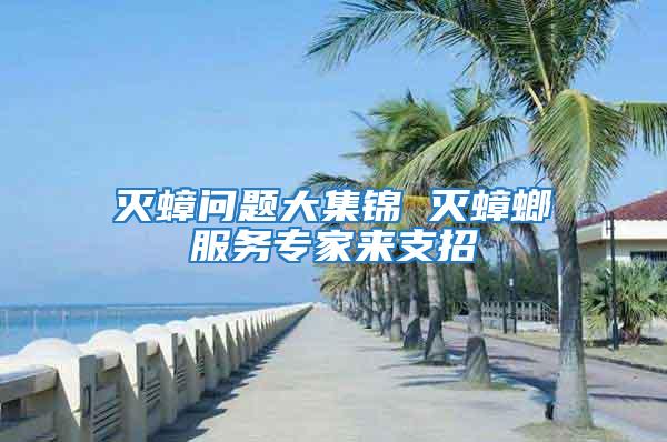 滅蟑問題大集錦 滅蟑螂服務專家來支招