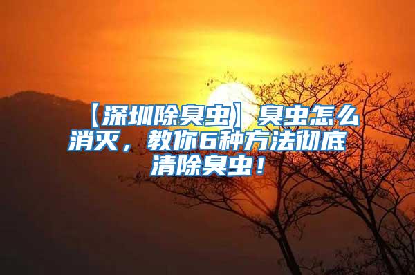 【深圳除臭蟲】臭蟲怎么消滅，教你6種方法徹底清除臭蟲！