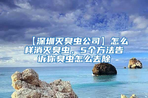 【深圳滅臭蟲(chóng)公司】怎么樣消滅臭蟲(chóng)，5個(gè)方法告訴你臭蟲(chóng)怎么去除