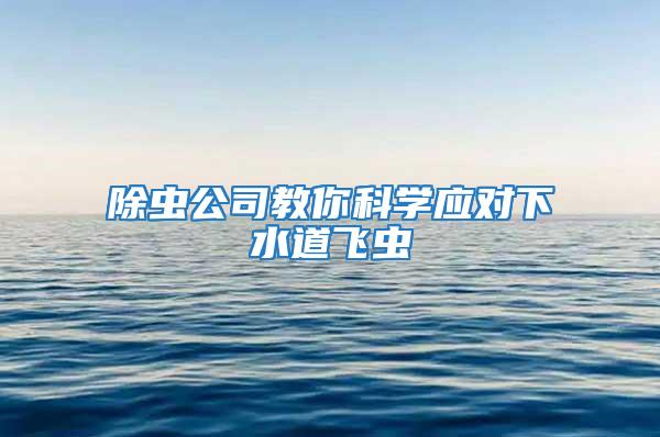 除蟲公司教你科學應對下水道飛蟲