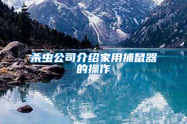 殺蟲公司介紹家用捕鼠器的操作