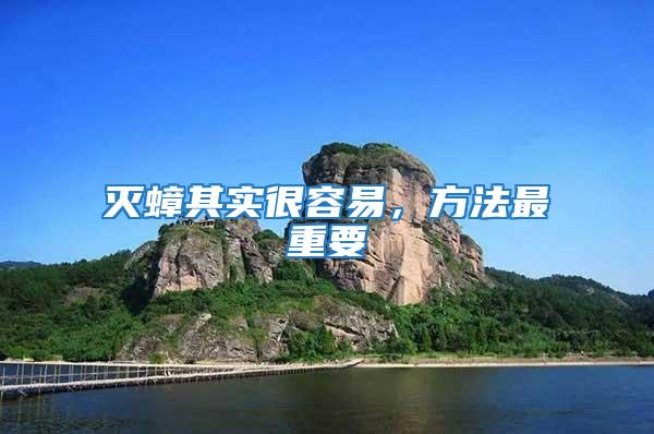 滅蟑其實很容易，方法最重要