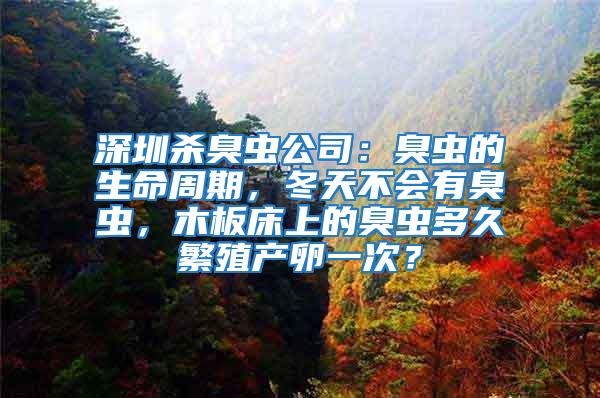 深圳殺臭蟲公司：臭蟲的生命周期，冬天不會有臭蟲，木板床上的臭蟲多久繁殖產卵一次？