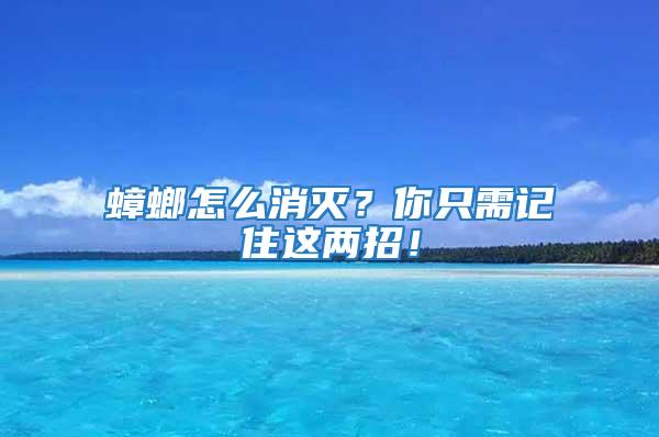 蟑螂怎么消滅？你只需記住這兩招！