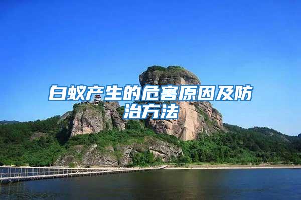 白蟻產(chǎn)生的危害原因及防治方法