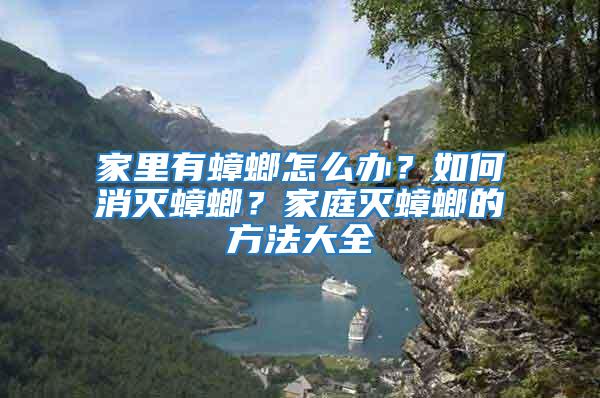 家里有蟑螂怎么辦？如何消滅蟑螂？家庭滅蟑螂的方法大全