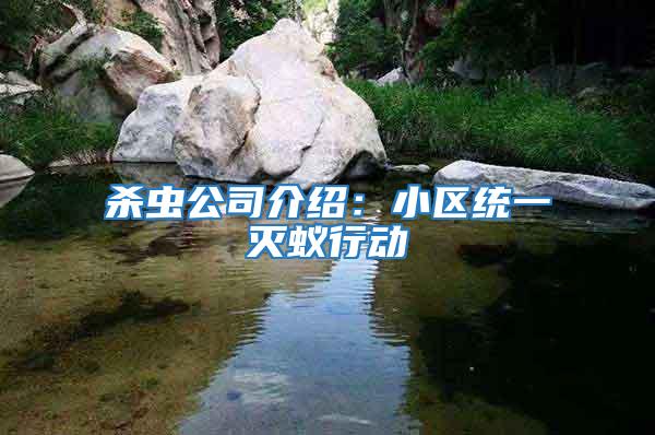 殺蟲公司介紹：小區統一滅蟻行動