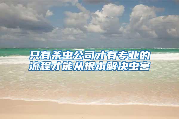 只有殺蟲公司才有專業的流程才能從根本解決蟲害