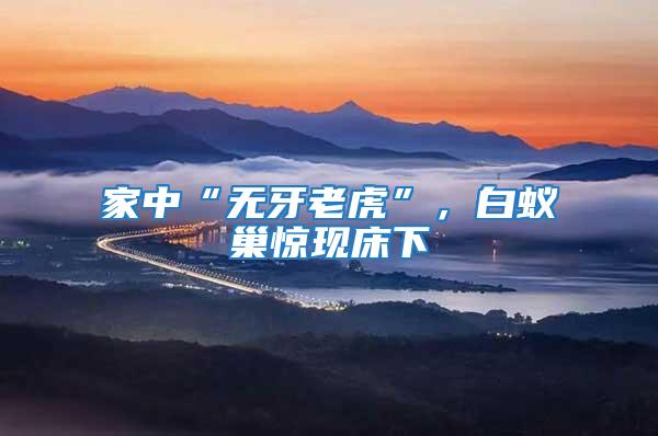 家中“無牙老虎”，白蟻巢驚現(xiàn)床下