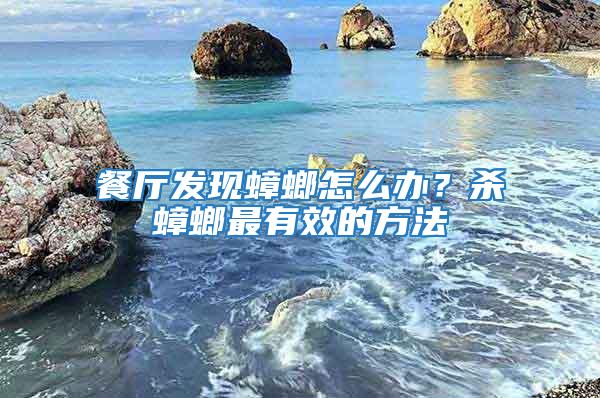 餐廳發現蟑螂怎么辦？殺蟑螂最有效的方法