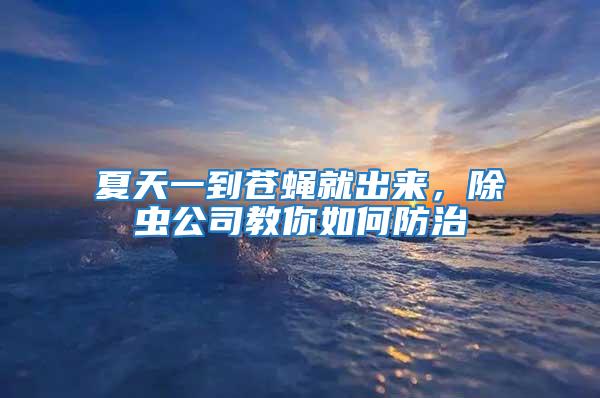 夏天一到蒼蠅就出來，除蟲公司教你如何防治