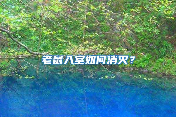 老鼠入室如何消滅？