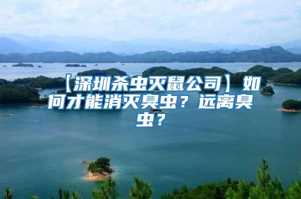 【深圳殺蟲滅鼠公司】如何才能消滅臭蟲？遠離臭蟲？