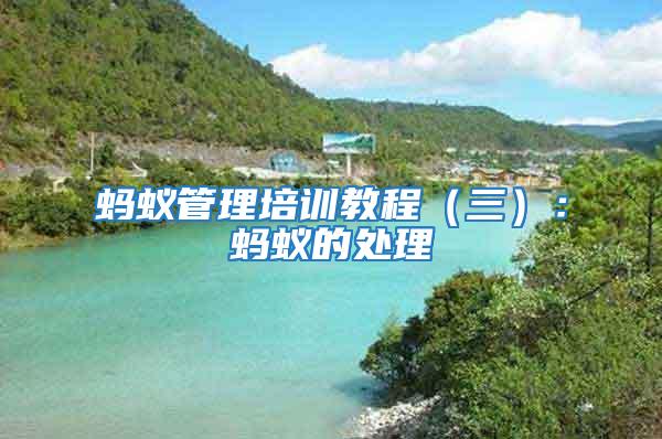螞蟻管理培訓教程（三）：螞蟻的處理