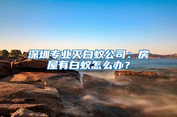 深圳專業滅白蟻公司：房屋有白蟻怎么辦？