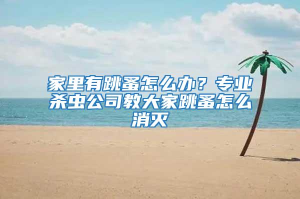 家里有跳蚤怎么辦？專業殺蟲公司教大家跳蚤怎么消滅