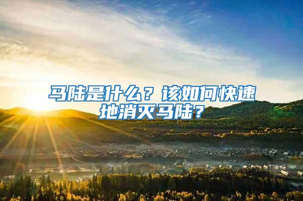 馬陸是什么？該如何快速地消滅馬陸？