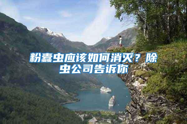 粉蠹蟲應該如何消滅？除蟲公司告訴你