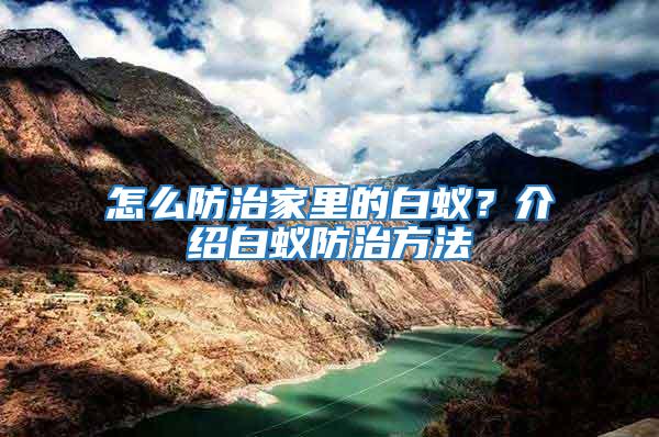 怎么防治家里的白蟻？介紹白蟻防治方法