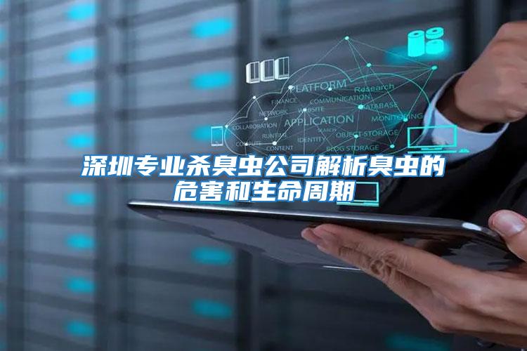 深圳專業殺臭蟲公司解析臭蟲的危害和生命周期