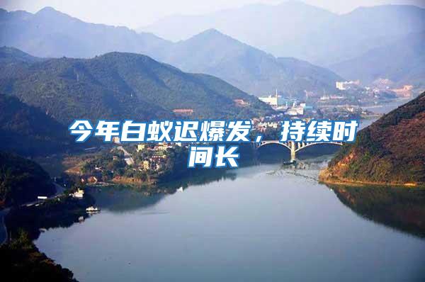 今年白蟻遲爆發，持續時間長