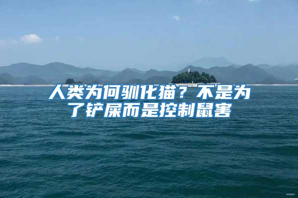 人類為何馴化貓？不是為了鏟屎而是控制鼠害