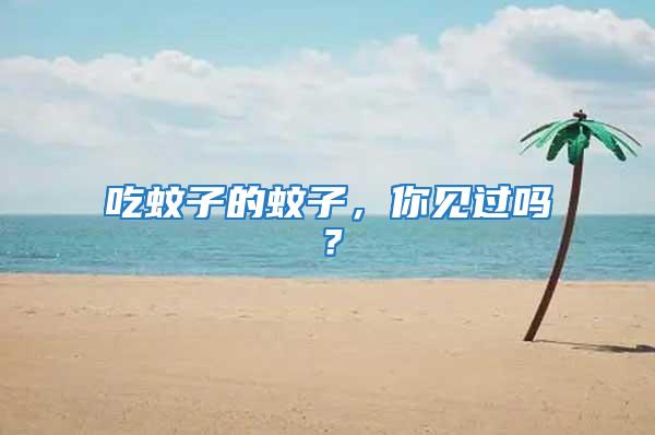 吃蚊子的蚊子，你見過嗎？