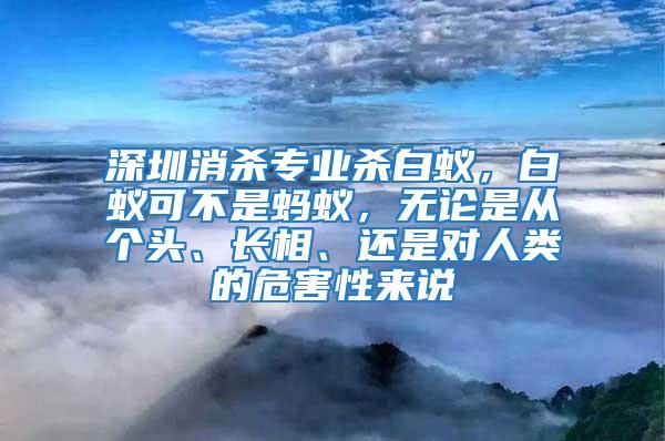 深圳消殺專業(yè)殺白蟻，白蟻可不是螞蟻，無論是從個頭、長相、還是對人類的危害性來說