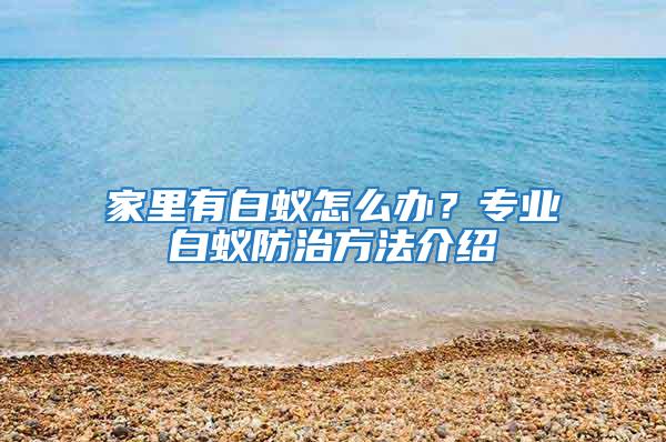 家里有白蟻怎么辦？專業(yè)白蟻防治方法介紹