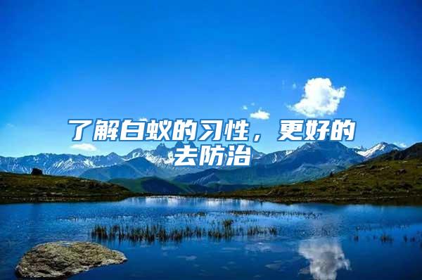 了解白蟻的習性，更好的去防治