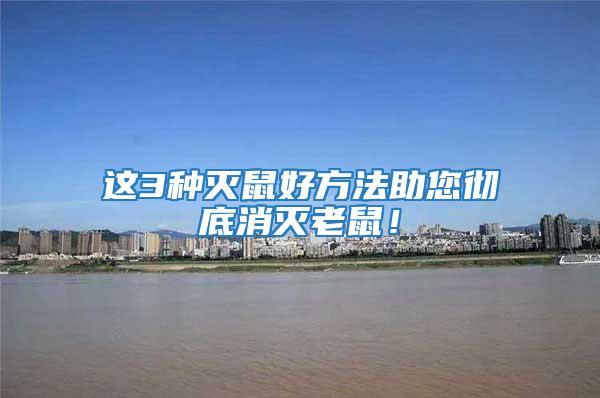 這3種滅鼠好方法助您徹底消滅老鼠！