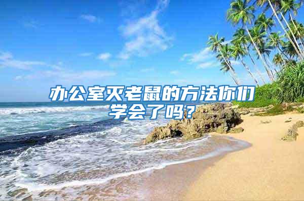 辦公室滅老鼠的方法你們學會了嗎？