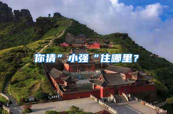 你猜”小強(qiáng)“住哪里？
