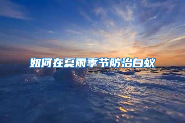 如何在夏雨季節防治白蟻