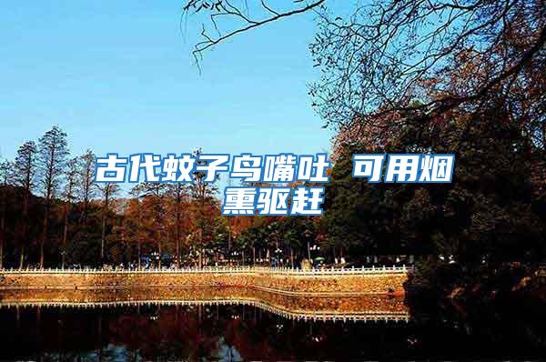 古代蚊子鳥嘴吐 可用煙熏驅趕