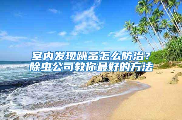 室內(nèi)發(fā)現(xiàn)跳蚤怎么防治？除蟲公司教你最好的方法